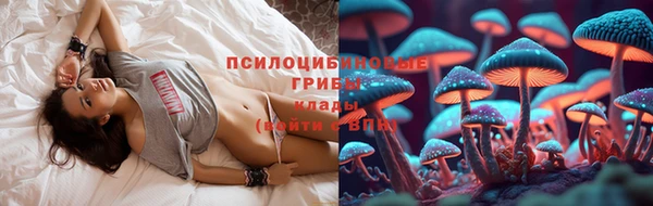 гидропоника Зеленокумск