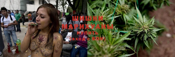гидропоника Зеленокумск