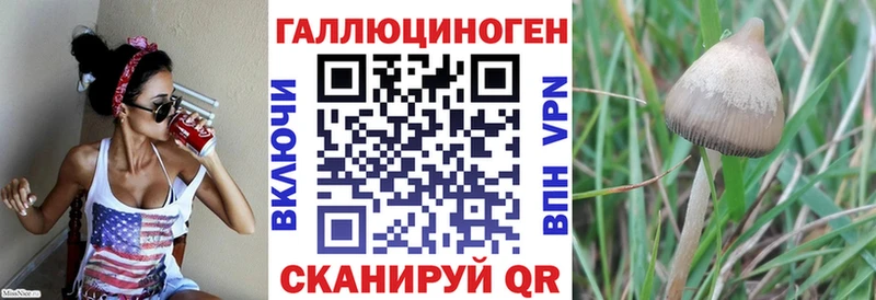 Галлюциногенные грибы Cubensis  Купить закладки  Дмитровск 